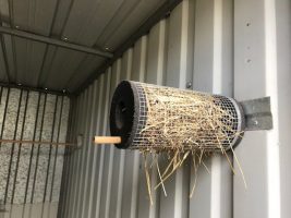 Wire nest full of nesting material